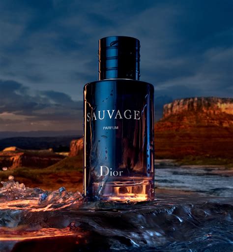 dior sauvaghe|dior sauvage best price.